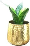 Famia Home Golden Metal Decorative Pot for Plants Planters for Living Room Balcony Flower Pots for Home Decoration Indoor Plant Pots for Home Décor, 6 * 6 Inch