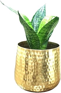 Famia Home Golden Metal Decorative Pot for Plants Planters for Living Room Balcony Flower Pots for Home Decoration Indoor Plant Pots for Home Décor, 6 * 6 Inch