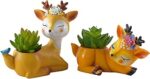 Combo of Bird Deer and Sleeping Deer Resin Succulent Planter Pot, Small Air Plants Holders,Table Decor, Gift