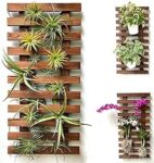 Decorscent Wall Planter Pine Wooden Hanging Planter for Indoor Plants, Plant Stand, Vertical Garden 60 cm -Set of 1