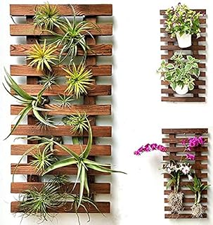 Decorscent Wall Planter Pine Wooden Hanging Planter for Indoor Plants, Plant Stand, Vertical Garden 60 cm -Set of 1