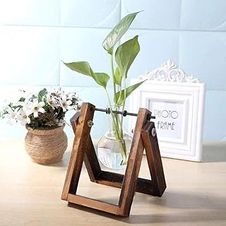 Smokey Cocktail Unique Style Glass Planter With Wood Stand for Table Top Indoor Desktop Decor - Home Office Plant Terrarium, Air Planter Bulb Glass Vase (Single Flask)