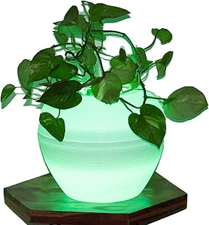 GrassTree Illuminated LED Light Planter for indoor Outdoor use Matka, Multiple Colours and Shape Matka Comical Buddha in White Warm White Green Blue Pink Red Led Colours for living Room Patio Balcony home decor 12 10 8 inches with 12 V Adapter Ornamental plants Excess Water Drainage Light weight Night Day use Decorative Mood enhancer for home office shops showrooms attractive bright and coloured LED