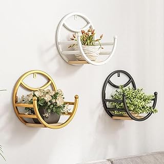 Welltrade Shoppee Metal Frame Handmade Elegent Look Wall Mounted Hanging Planter Indoor & Outdoor Wall Hanging Plant Flower Pot Stand Holder for Living Room, Balcony (Black & White - Gold)