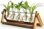XXXFLOWER Plant Terrarium Propagation Station with Wooden Stand for Gardening Plant Gifts Air Planter Bulb Glass Vase Retro Tabletop Holder Hydroponics for Indoor Home Office Decoration-5 Bulb Vase