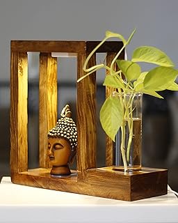 Planting Chemistry Wooden Planter and a Lamp with Lord Buddha Face | Showpiece | Living Room | Table Decor | Decoration | Home | Office | Housewarming
