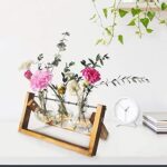 Glass Terrarium Planter, KABB Desktop Glass Planter Bulb Vase with Retro Solid Wooden Stand & Metal Swivel Holder, Rustic Elegant Propagation Station for Garden Home Office Desk Decor (2 Bulb Vase)