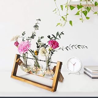 Glass Terrarium Planter, KABB Desktop Glass Planter Bulb Vase with Retro Solid Wooden Stand & Metal Swivel Holder, Rustic Elegant Propagation Station for Garden Home Office Desk Decor (2 Bulb Vase)