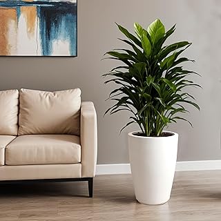 YUCCABE ITALIA FOXB VNR 18 INCH Pots for Plants Highly Durable Polymers Lightweight Indoor Outdoor Tall Flower Pot Gamla Tree Planter Container Planters for Living Room, Balcony,Garden, White