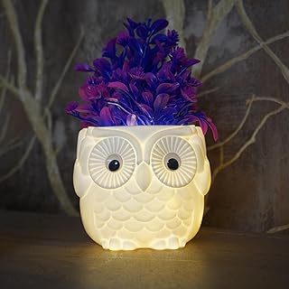 Handybee® Glowing Owl Planter with Artificial Plant, 18.5cm Indoor Potted Plant Fake Plant Cute Night Lamp and Home Décor Items for Bedroom Tabletop Living Room, Gift Ideas