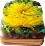 SKYLART 3D Night LAMP/Decorative Flora Pot Night Light/Wooden Base/Resin Multicolor/Handmade/ONLY ONE Piece/Gift/Size 6"X6"X4" Wt-3KG/AMAZING Design