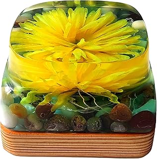 SKYLART 3D Night LAMP/Decorative Flora Pot Night Light/Wooden Base/Resin Multicolor/Handmade/ONLY ONE Piece/Gift/Size 6"X6"X4" Wt-3KG/AMAZING Design