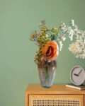 Elegant Modern Decorative Glass Vases | 8 x 5 inches