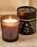 Enchanted Woody Lemon Scented Jar Candle