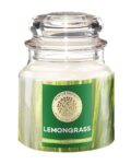 house_of_aroma_white_lemongrass_scented_candle_for_aromatherapy.jpg