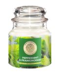 house_of_aroma_white_peppermint_26_frankincense_scented_candle_for_aromatherapy.jpg