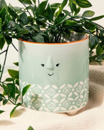 Transparent Frenzy Glass Vase