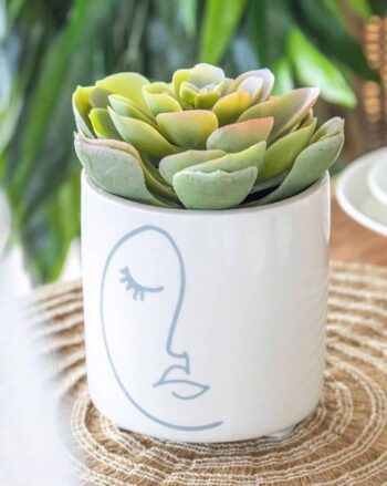 Artificial Red Twin Succulent