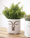 kitchencraft_white_terracotta_face_print_mini_planter.jpg