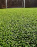 kuber_industries_green_artificial_grass_carpet_6.527_x_227.jpg