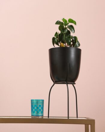 Metal Planter with Detachable Stand