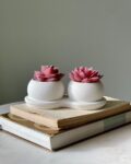 Set of 2 Plant with Metal Stand