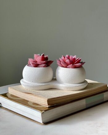 Set of 2 Plant with Metal Stand