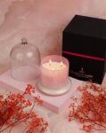 parkash_candles_pink_bell_jar_scented_candle.jpg