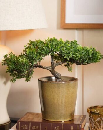 Artificial Succulents with Pot