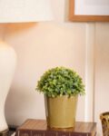 pure_home_and_living_beige_set_of_2_small_ceramic_pots.jpg