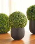 pure_home_and_living_black_polyfibre_small_clay_pot.jpg