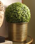 Gold-Plated Plant Pot