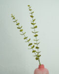 pure_home_and_living_green_artificial_eucalyptus_flower_leaf.jpg