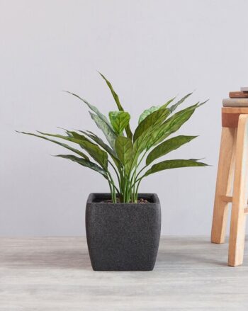 Artificial Peony with Glass Vase