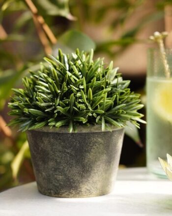 Set of 2 Faux Succulent with Pot