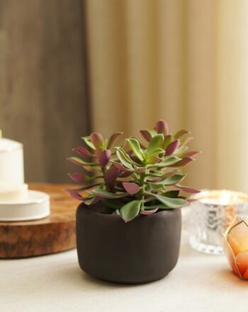 Orchid Faux Flower Stem