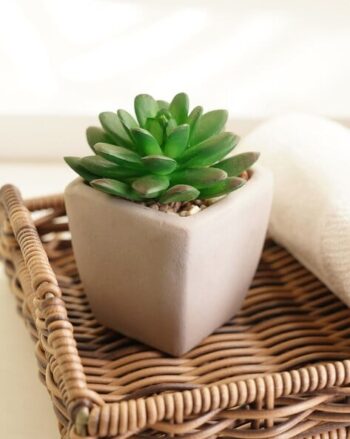 Woven Wicker Hanging Planter