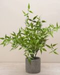 pure_home_and_living_green_faux_plant_with_cement_pot.jpg