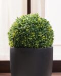 pure_home_and_living_green_faux_seagrass_ball_-_small.jpg