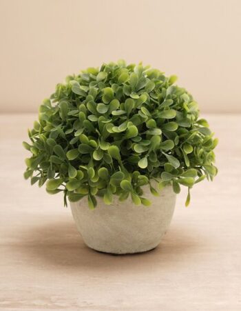 Artificial Rosemary with Pot