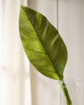 Artificial Hydrangea Green Stem