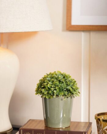 Set of 2 Ceramic Pots