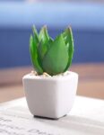 pure_home_and_living_green_set_of_4_potted_cactus.jpg
