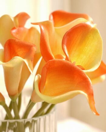 White Bean Faux Flower Stem