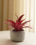 pure_home_and_living_red_artificial_agave_plant_with_pot.jpg