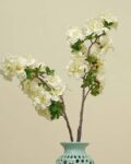 Set of 2 Large Ceramic Pots