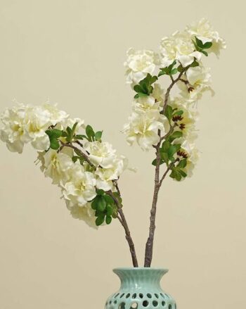 Set of 2 Large Ceramic Pots