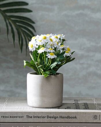 Jimmy Table Planter