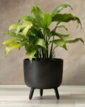 sg_homes_black_alumunium_rustic_planter.jpg