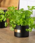 typhoon_black_carbon_steel_textured_planter.jpg